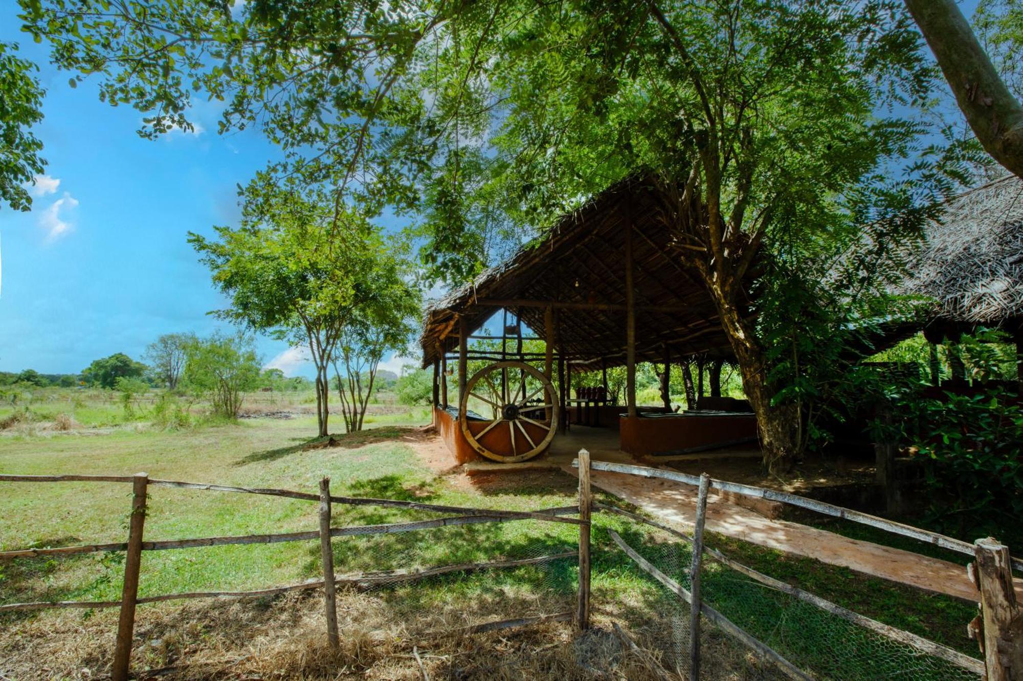 Kassapa Lions Rock Hotel Sigiriya Luaran gambar