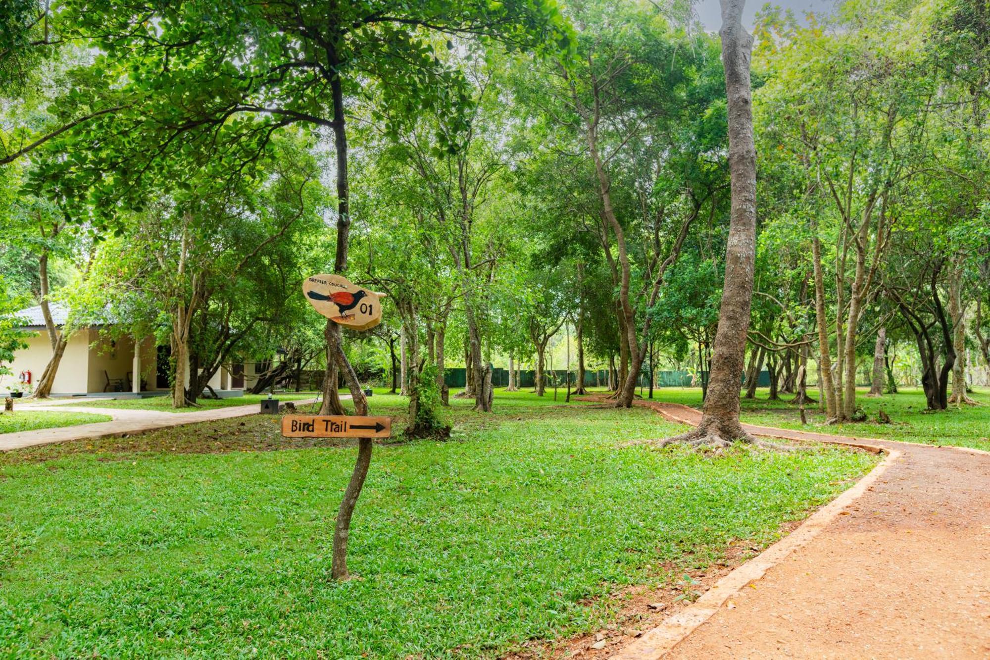 Kassapa Lions Rock Hotel Sigiriya Luaran gambar